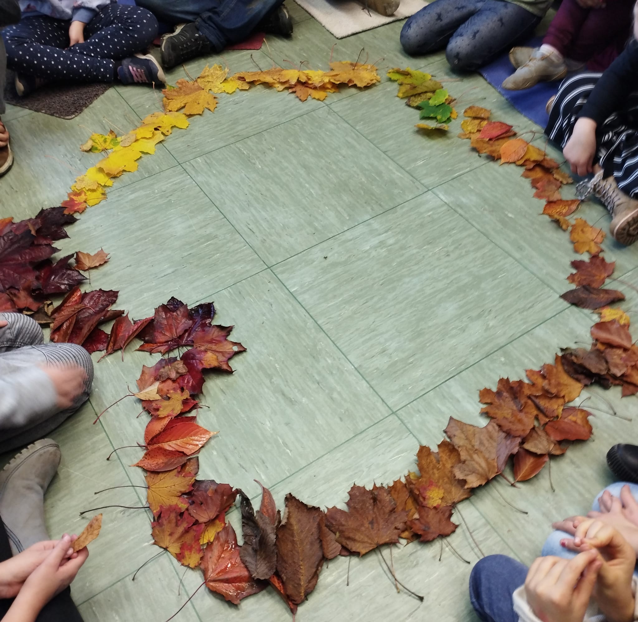 485ca587 5210 4e49 9574 775b2c539535